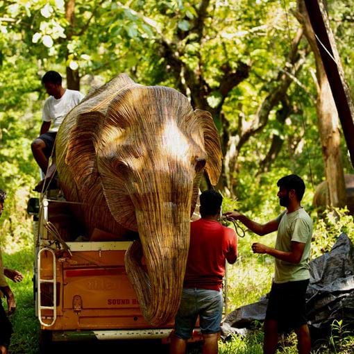 Elephants On The Move Saipreeth S. Thattari